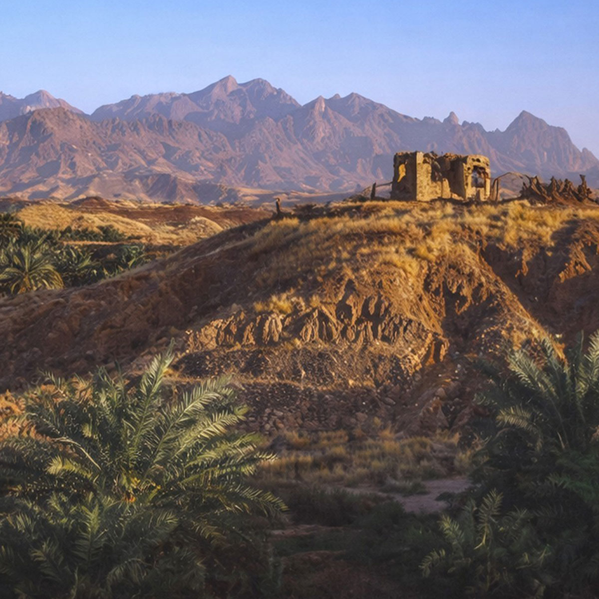 النموذج